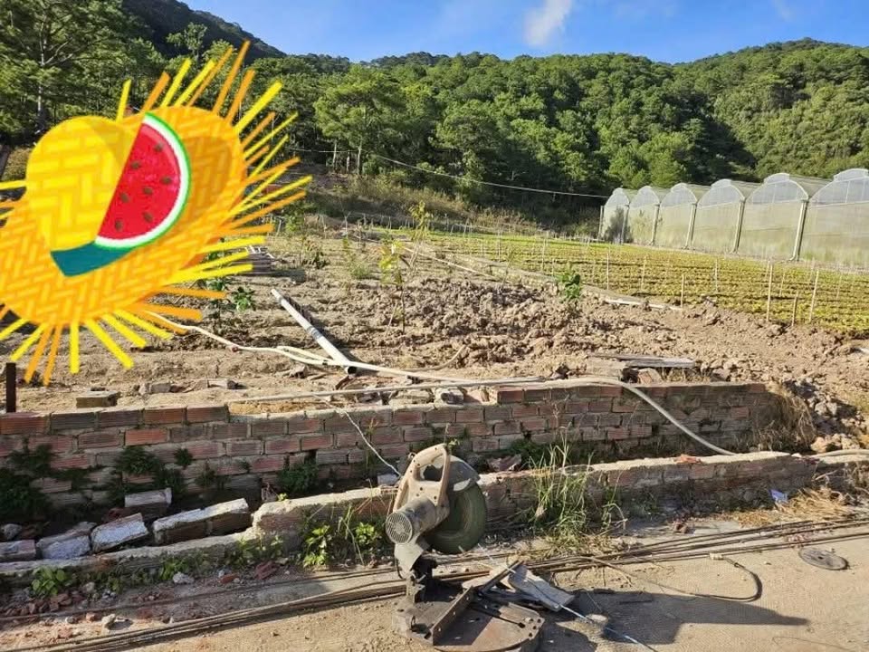 Đất nền Thạnh Mỹ Đơn Dương 339m² giá 1.05 tỷ - Ngay cạnh thông xanh!