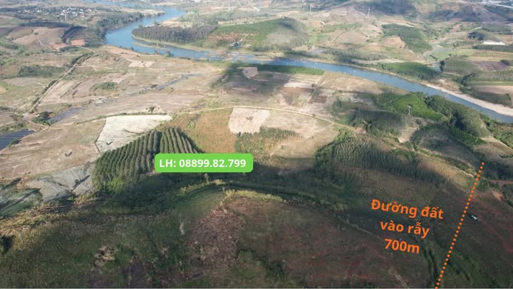 Farm 1ha tại xã Đăk Ruồng, Kon Rẫy - Đất đen màu mỡ, giá hợp lý!