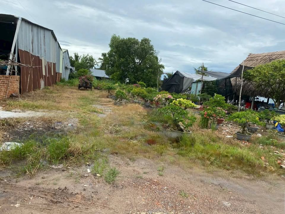 Mặt tiền ĐT 781, Châu Thành, Tây Ninh, 434m² - Phù hợp mở quán ăn, gara!