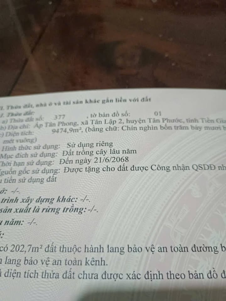 Đất mặt tiền đường đá xanh 9.475m² tại xã Tân Lập 2, huyện Tân Phước - Đầu tư lý tưởng!
