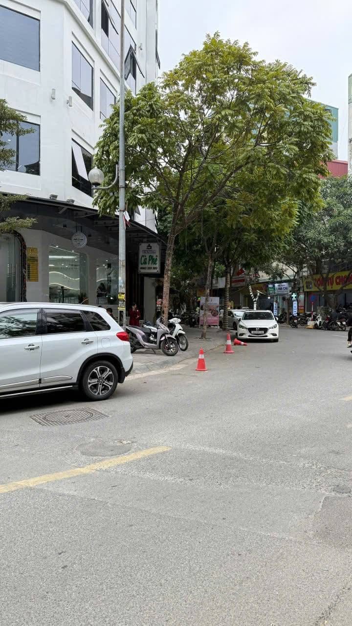 Đất mặt phố Dịch Vọng Hậu, Cầu Giấy 140m² giá 100 tỷ - Vị trí kinh doanh đắc địa!