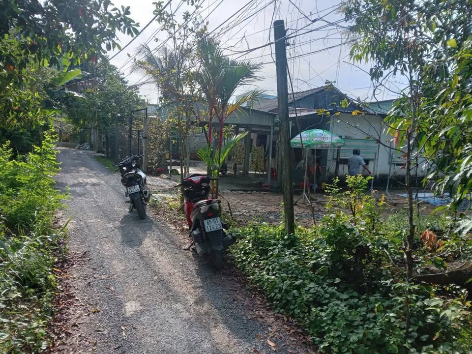 Nhà phố Long Hòa, Bình Thủy, Cần Thơ 136m² giá 880 triệu - Pháp lý sổ hồng chính chủ!