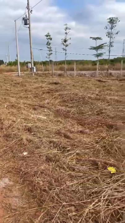 Đất thổ cư Đường 32, Chơn Thành 1440m² giá chỉ 3 tỷ - Cơ hội đầu tư hấp dẫn!