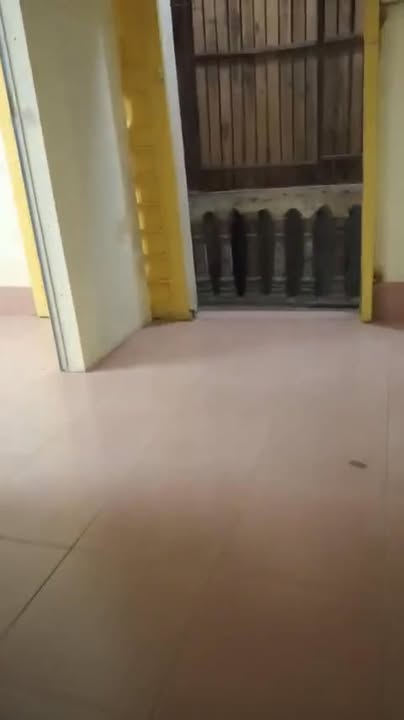 Nhà nguyên căn cho thuê ngõ 459 Bạch Mai, 2PN giá 5.5 triệu - Gần Đại học Bách Khoa!