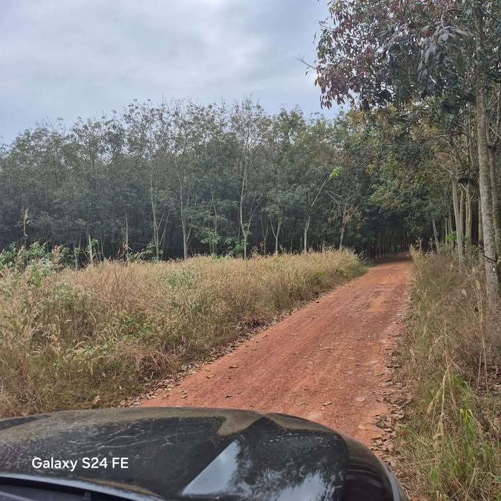 Đất nền Minh Thạnh, Dầu Tiếng, Bình Dương 400m² giá 300 triệu - Đầu tư sinh lời ngay!