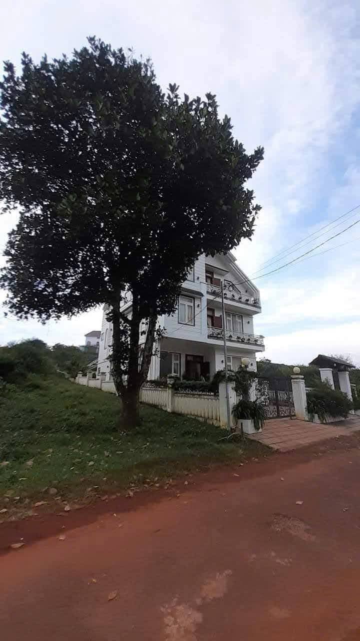 Villa mặt tiền đường Măng Lin, Đà Lạt 541m² giá 13.99 tỷ - Đầu tư sinh lời tuyệt vời!