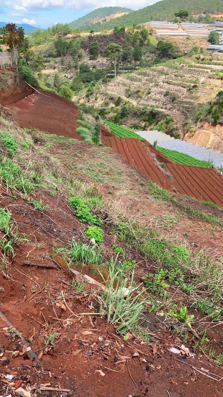 Lô đất Xuân Thọ, Đà Lạt 2200m² giá 7 tỷ - Sổ hồng chính chủ, giá thương lượng!