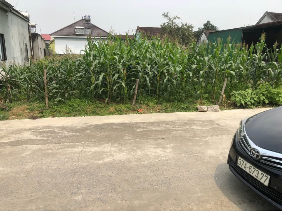 Đất nền xóm Minh Thọ, xã Hòa Sơn, Đô Lương 216m² - Mặt tiền rộng, giá hấp dẫn!