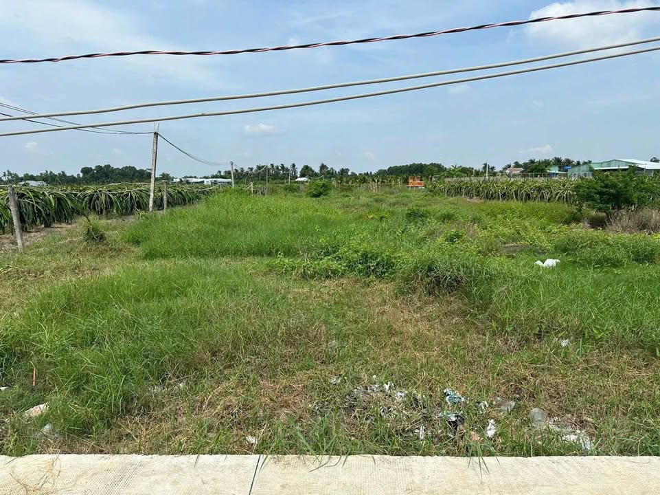Đất nền ấp 4, xã Hòa Phú, Châu Thành 1.011m² giá 1.1 tỷ - Vị trí đẹp thuận lợi!