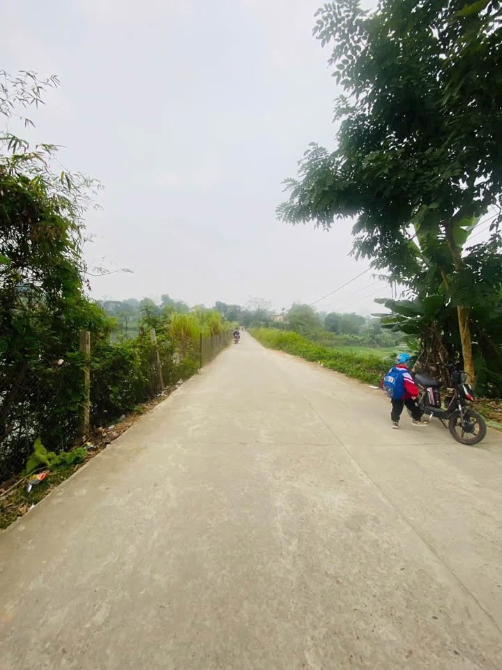 Đất nền Kim Phú Tuyên Quang 350m² giá 2xx triệu - Đầu tư sinh lời nhanh chóng!