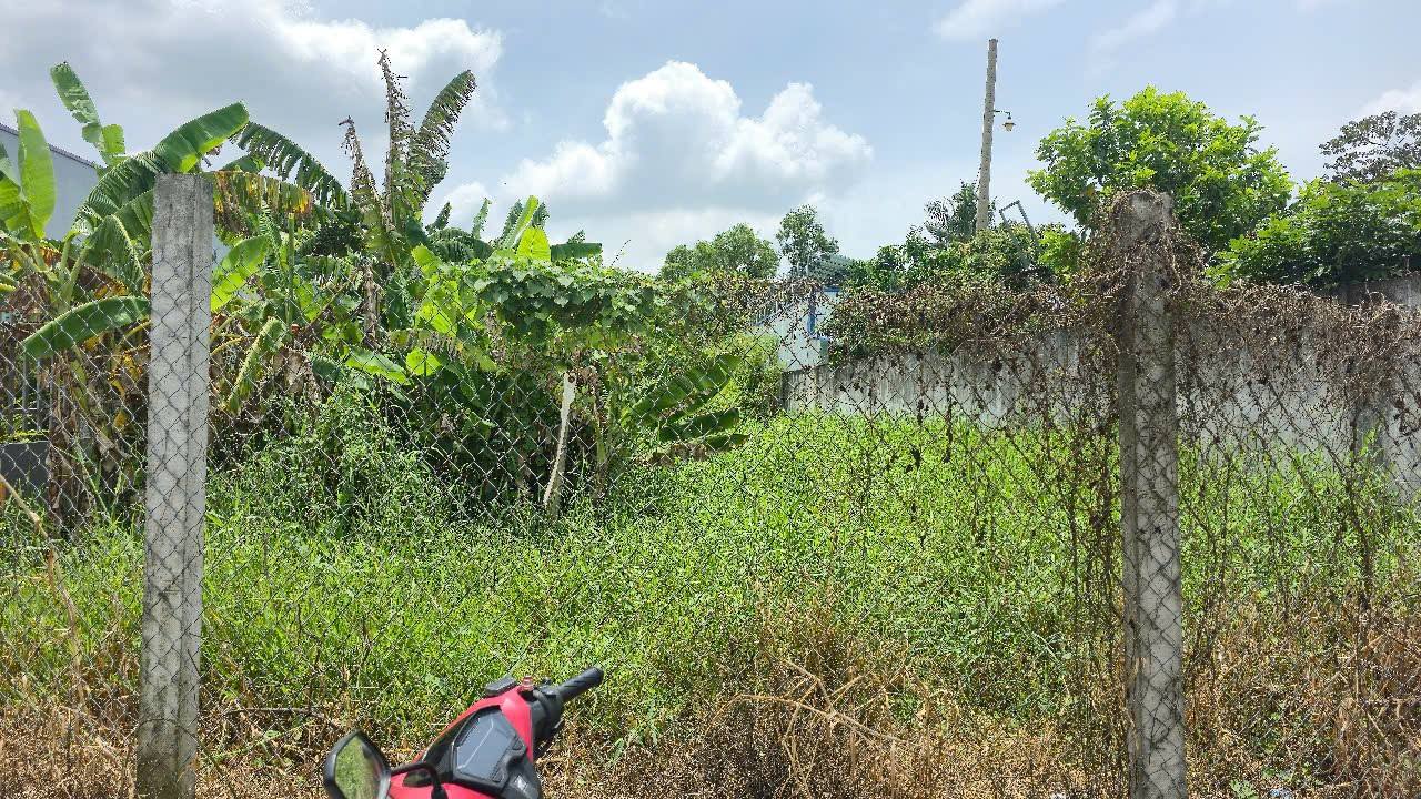 Đất Long Khê, Cần Đước, Long An 410m² - Giá chỉ 2.1 tỷ, Đường du lịch chạy!