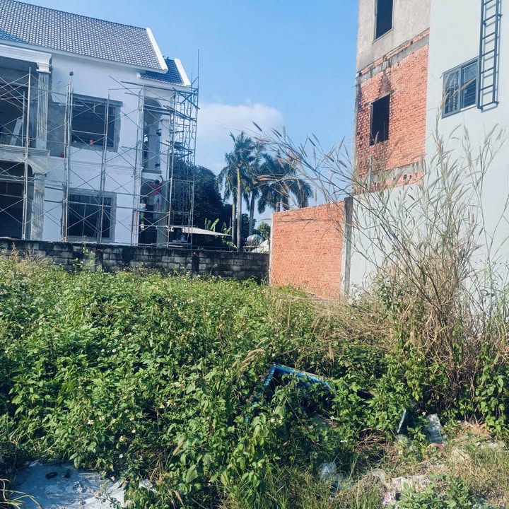 Đất nền Tân Phú Trung, Củ Chi 90m² giá 1.85 tỷ - Cơ hội vàng cho nhà đầu tư!