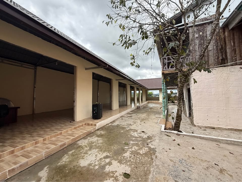 Đất nền Đà Lạt 1200m² giá 62 tỷ - View rừng thông tuyệt đẹp