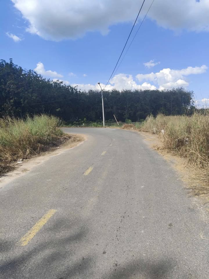 Đất nền Trừ Văn Thố, Bàu Bàng 198m² chỉ 900 triệu - Đầu tư sinh lời ngay!