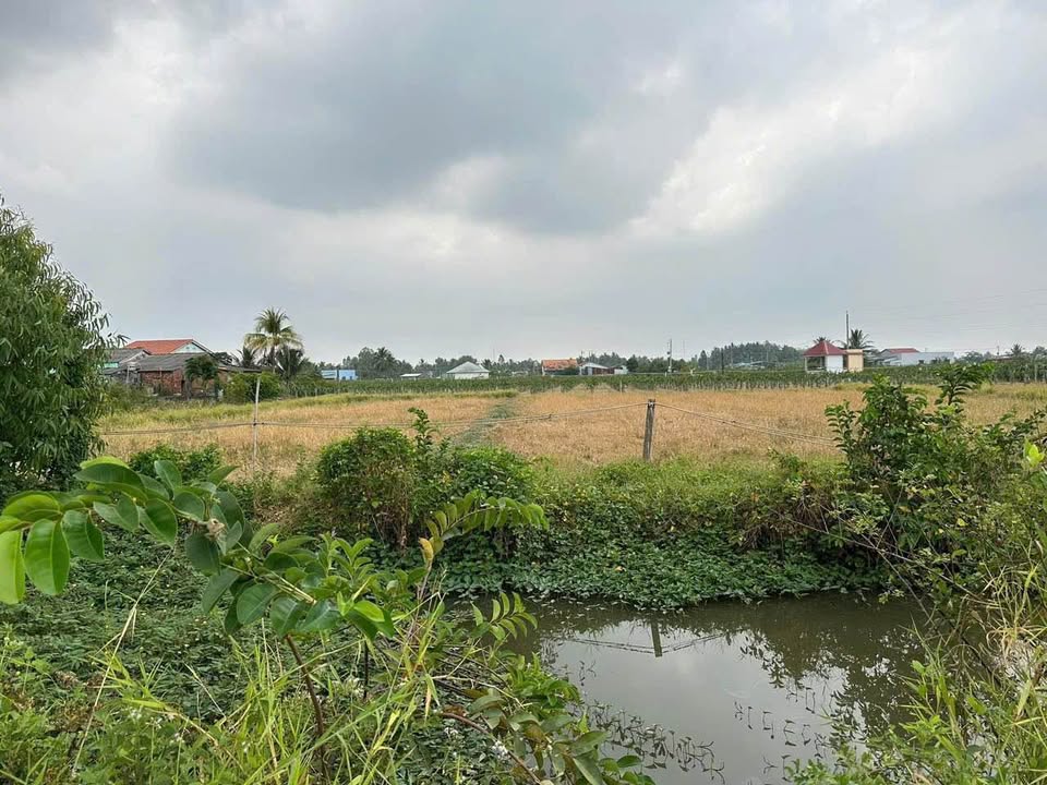 Đất nông nghiệp Phước Tân Hưng, Châu Thành, Long An 2232m² giá 1.6 tỷ - Đầu tư sinh lời ngay!