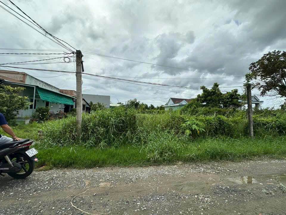 Đất vườn 523m² tại Tân Khánh - Giá chỉ 1.75 tỷ, đầu tư sinh lời ngay!