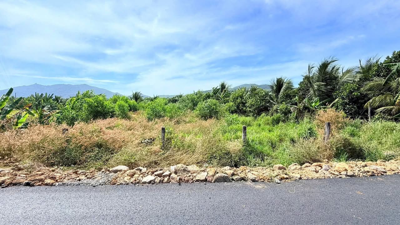 Đất nền Phước Hải 1000m² giá 4.8 tỷ - Tách lô siêu đẹp gần biển!