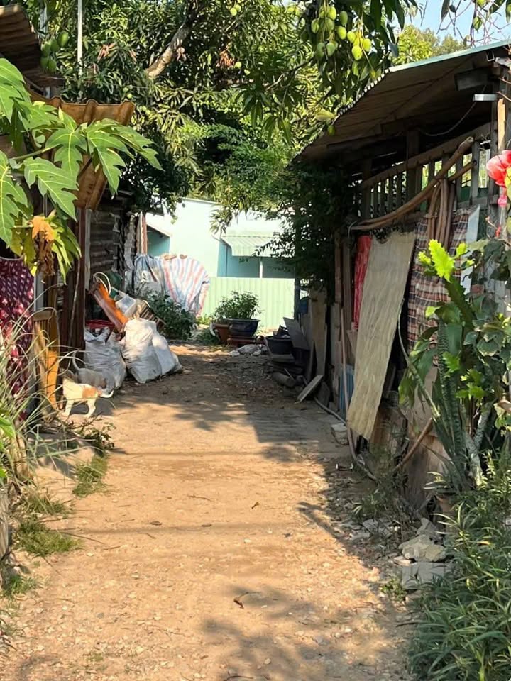 Lô đất 150m² tại Thủ Đức, giá chỉ 1,5 tỷ - Cần bán gấp chính chủ!