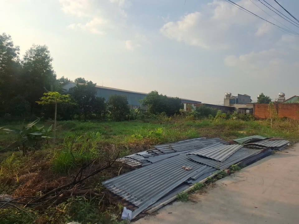 Đất An Phước, Long Thành 262m² chỉ 3,05 tỷ - Đầu tư sinh lời ngay!