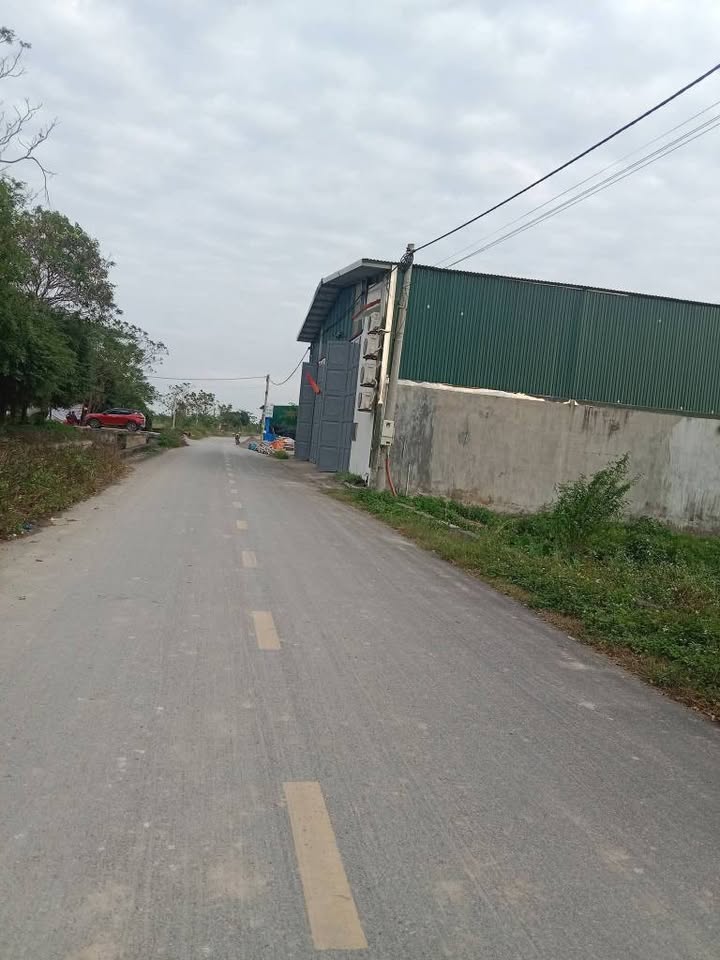 Đất thổ cư Thôn Thọ Lương, Bình Mỹ, 240m² giá chỉ 2.4 tỷ - Đầu tư sinh lời ngay!