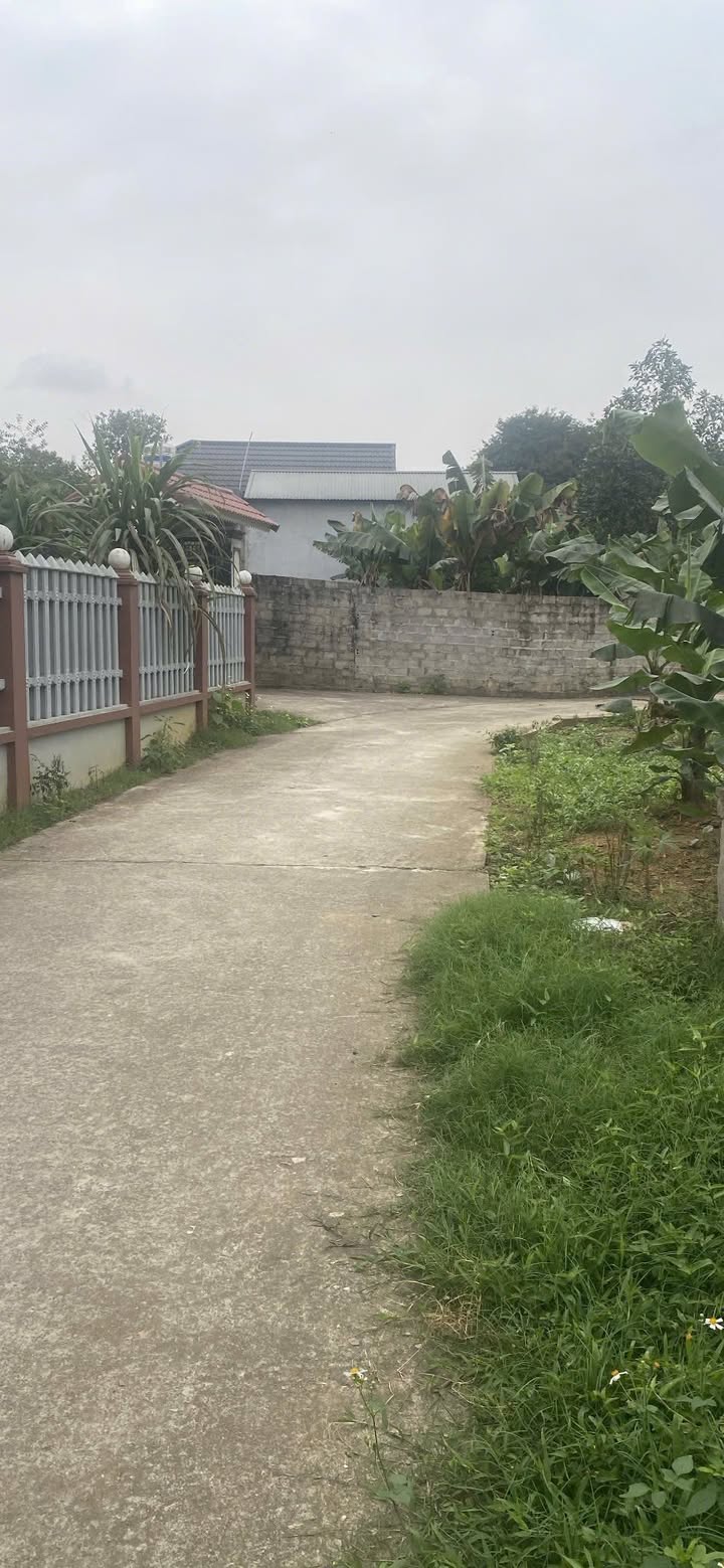 Đất nền thôn 4 Ba Trại 900m² giá 3 tỷ - Đầu tư sinh lời tuyệt vời!