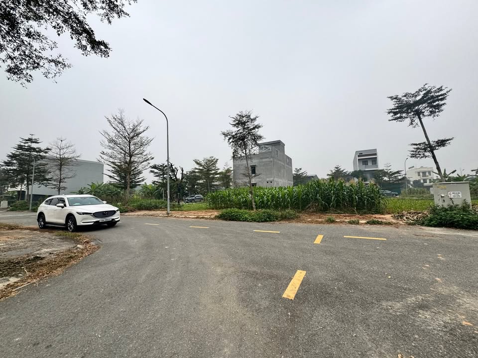 Đất nền Thanh Miếu, Việt Trì 88m² giá từ 2.7 tỷ - Cơ hội đầu tư hấp dẫn!