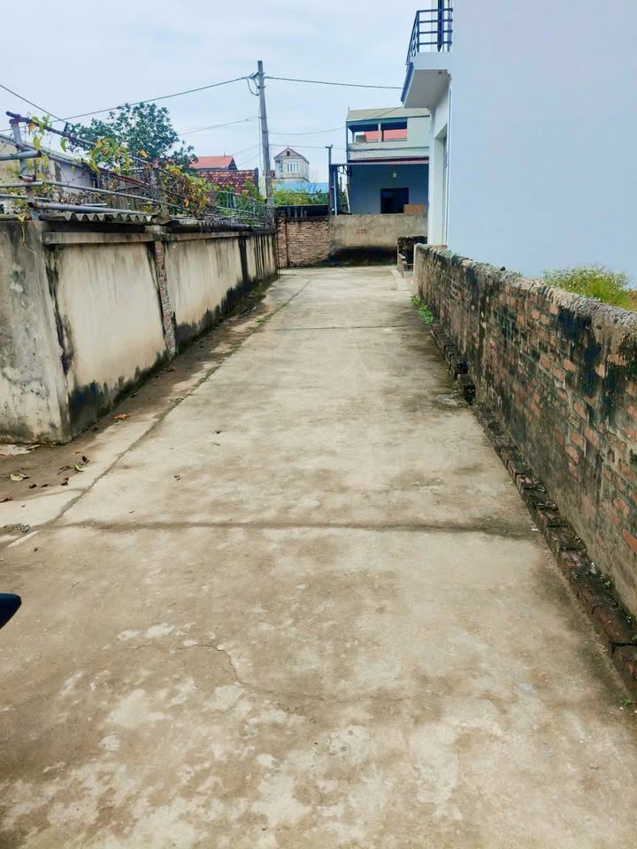 Đất nền Thường Tín 66m² giá 3.5 tỷ - Đường ô tô đỗ cửa thoải mái!