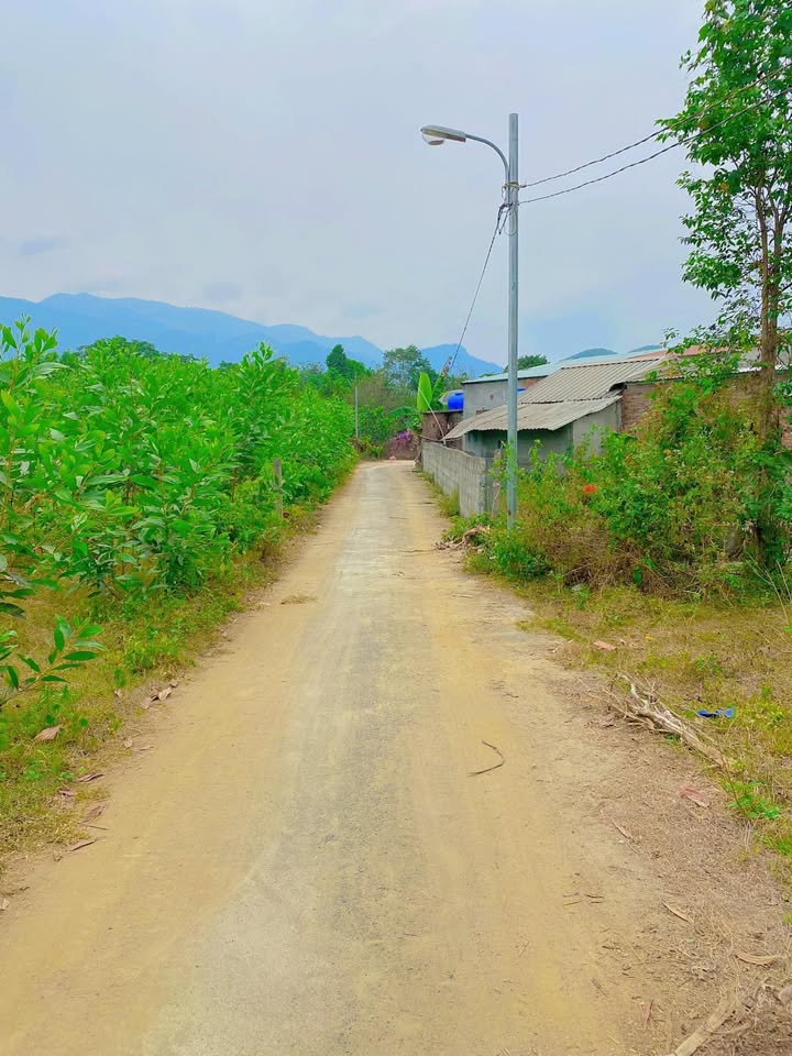 Đất vườn Hòa Phú, Hòa Vang Đà Nẵng 1113m² - Phong thủy đẹp, giá tốt!