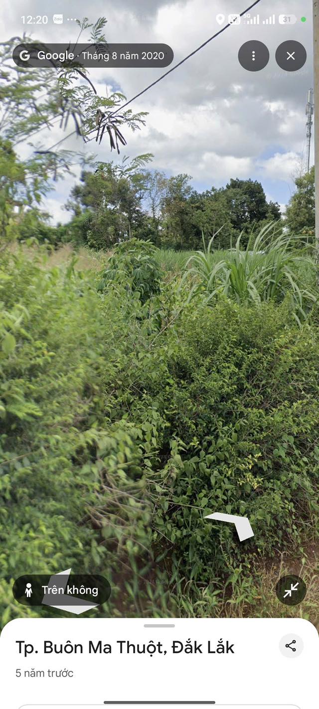 Đất thổ cư tại Thôn 8 Cư Êbur, Buôn Ma Thuột 150m² giá 835 triệu - Cơ hội đầu tư hấp dẫn!