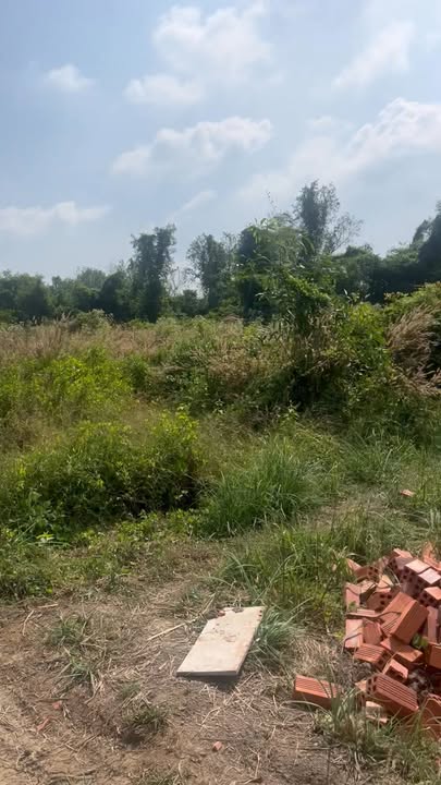 Đất nền liền kề Đông Thạnh, Cần Giuộc 121m² giá 600 triệu - Sổ hồng chính chủ!