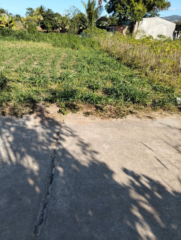 Đất thổ cư 185m² phường Trần Hưng Đạo, TP Kon Tum - Giá ưu đãi, sổ đỏ chính chủ!