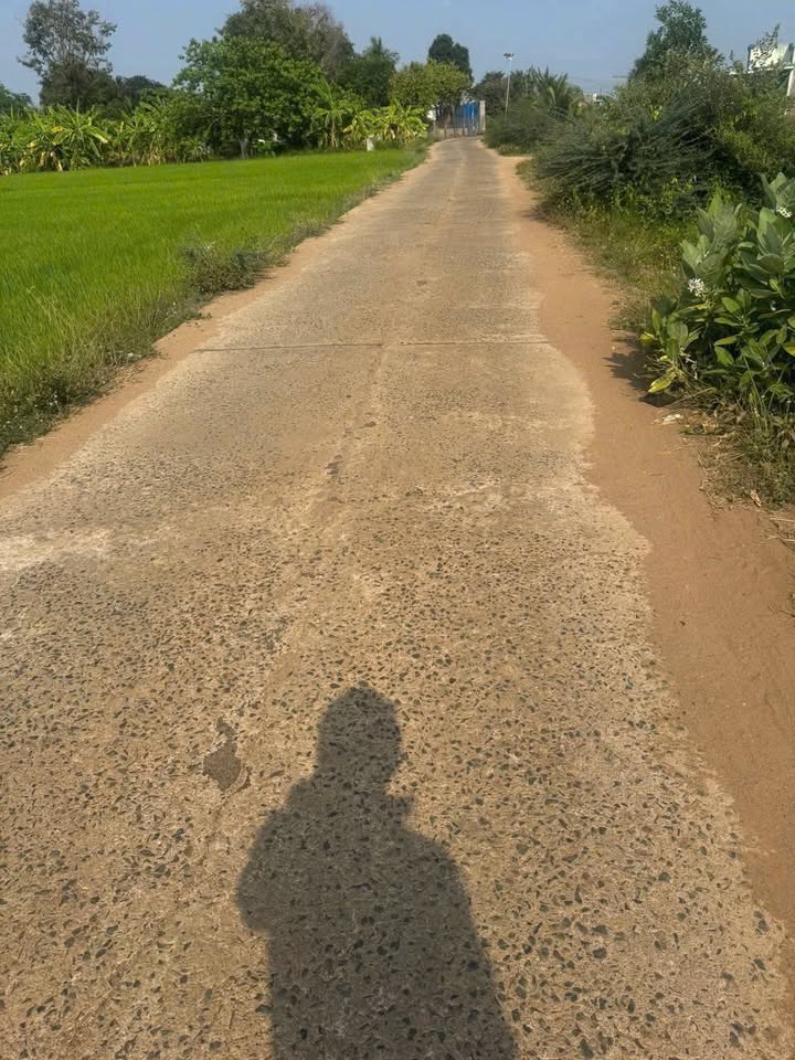 Đất thổ cư Hàm Trí, Hàm Thuận Bắc 1,1 Sào giá 450 triệu - Đầu tư sinh lời ngay!