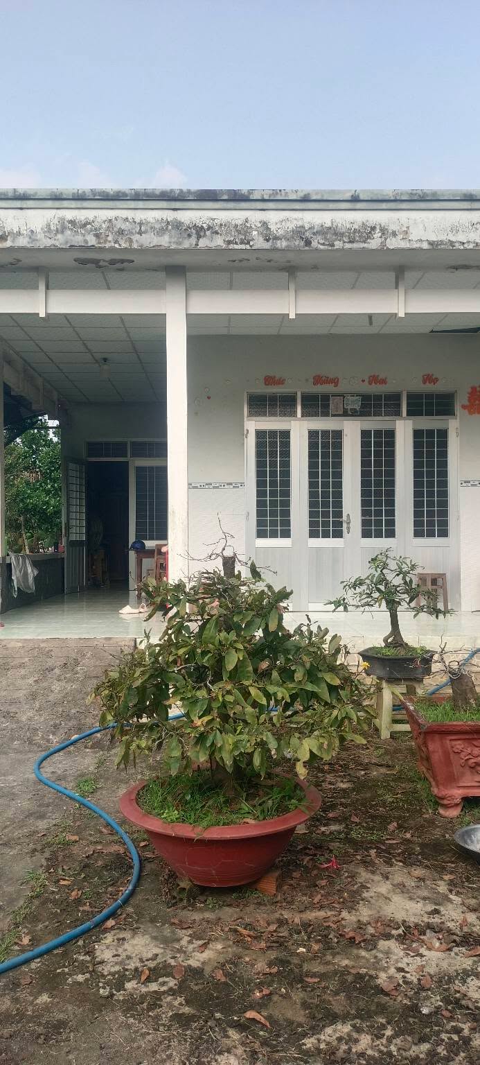 Farm 3 công vườn dừa Châu Thành, Bến Tre 30,000m² giá 2 tỷ - Nhà cấp 4 mới đẹp!
