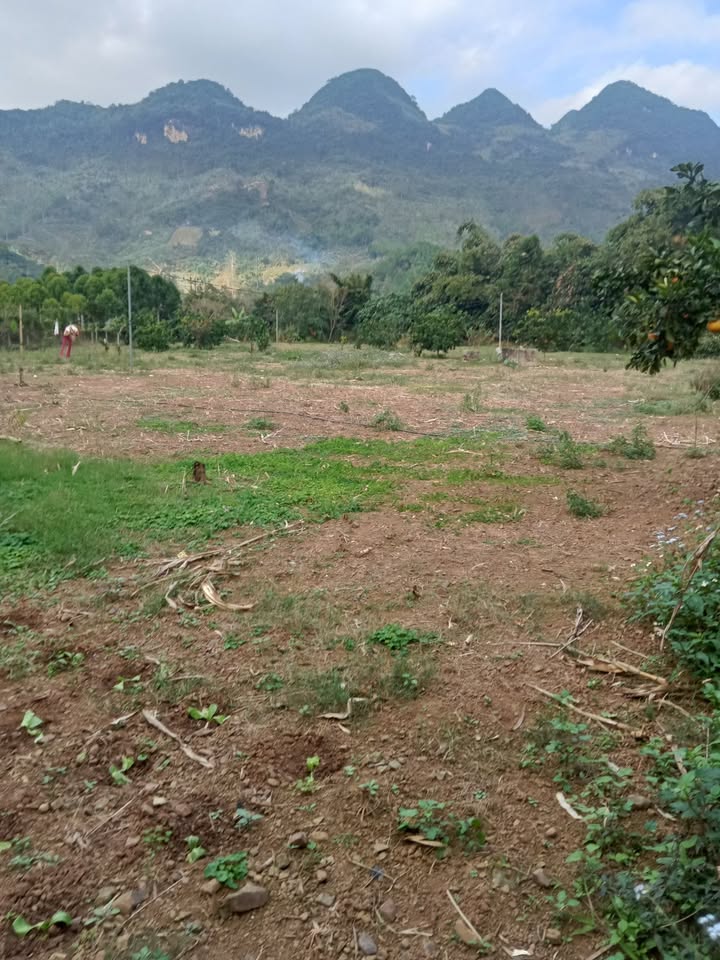 Đất nền xã Thu Phong, huyện Cao Phong, 8000m² - Cơ hội đầu tư hấp dẫn!