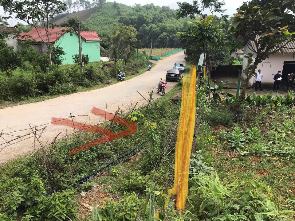 Đất nền Minh Hòa Yên Lập 15m² giá chỉ 40 triệu - Cơ hội đầu tư tuyệt vời!