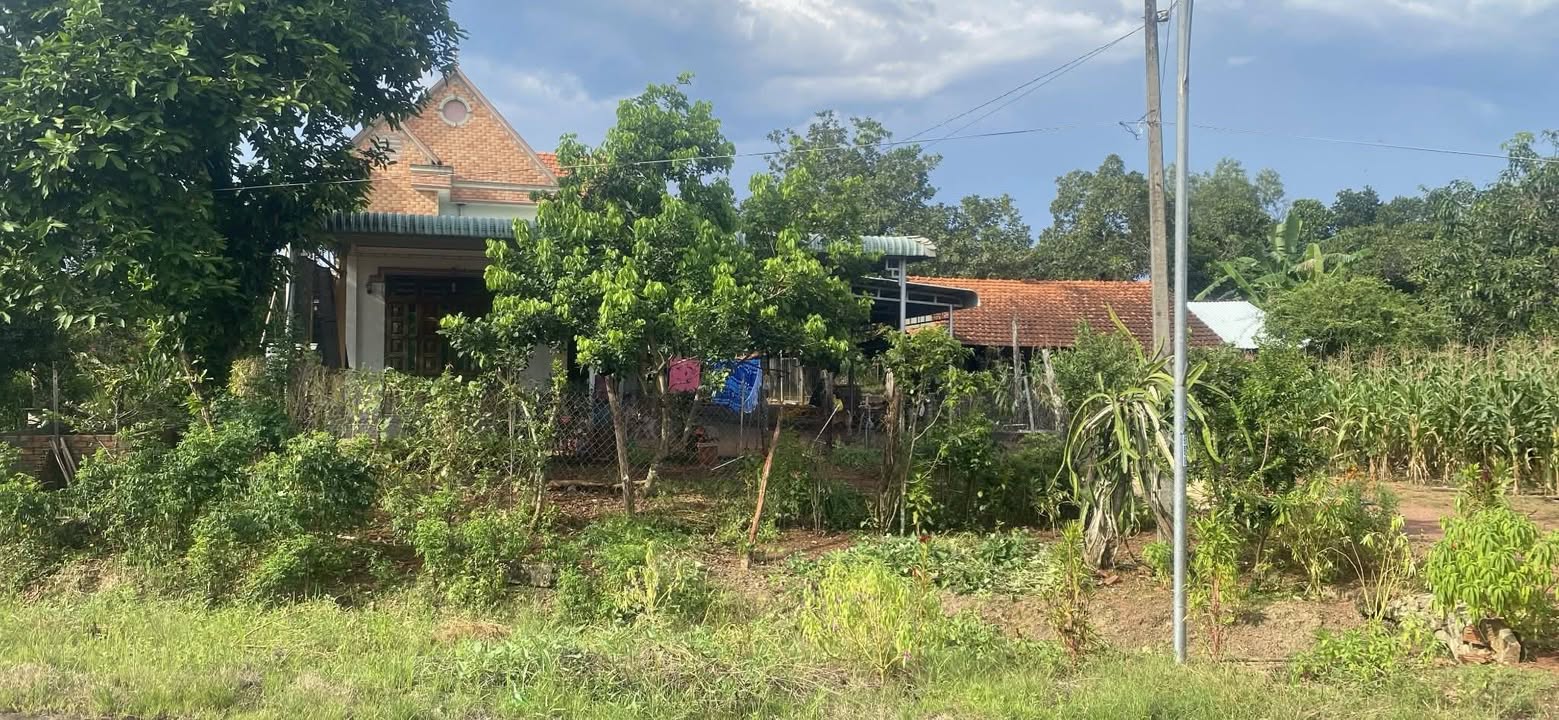 Đất nền Tân Lợi Đồng Phú 610m² giá chỉ 860 triệu - Đầu tư sinh lời ngay!