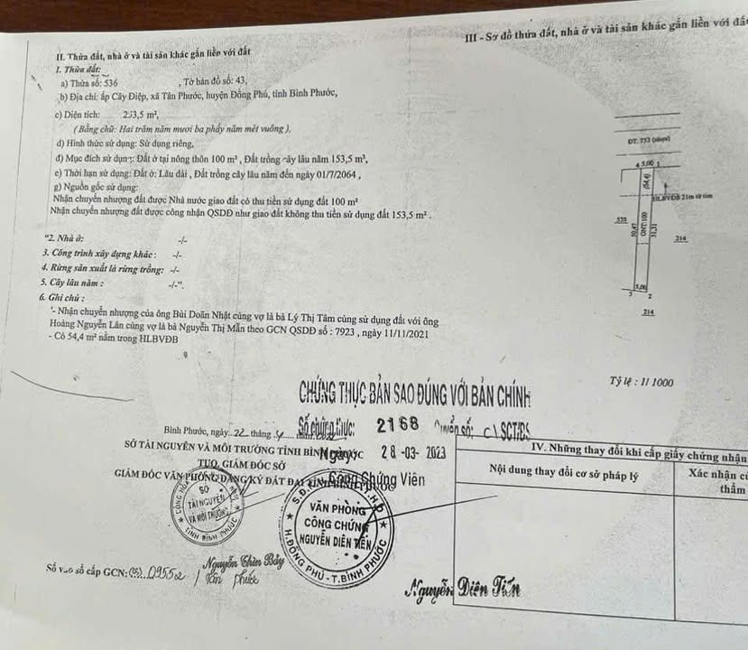 Đất mặt tiền ĐT753 Tân Phước 250m² giá chỉ 2xx triệu - Cơ hội đầu tư tuyệt vời!