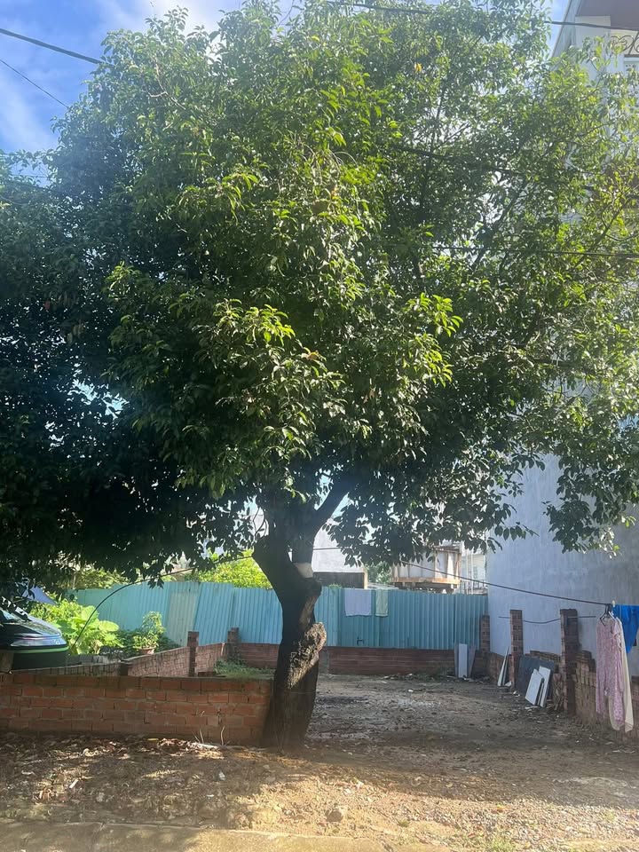 Đất nền khu dân cư Tân Tiến, Thới Hiệp 75m² giá 4.9 tỷ - Cơ hội đầu tư hấp dẫn!