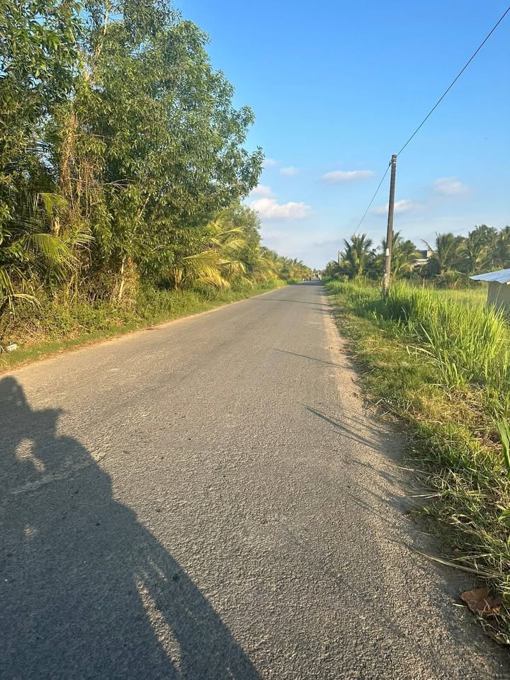 Đất nền 135m² mặt tiền huyện lộ 9, Trà Vinh - Giá chỉ 300 triệu!