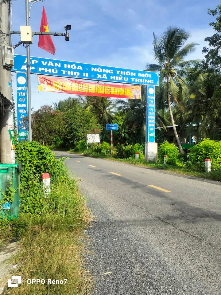 Đất vườn dừa tơ ấp Phú Thọ, Tiểu Cần 4000m² giá 1.12 tỷ - Cơ hội đầu tư tuyệt vời!