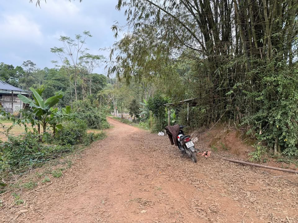 Đất Phú Vinh, Tân Lạc 300m² chỉ 100 triệu - Sổ đỏ trao tay!