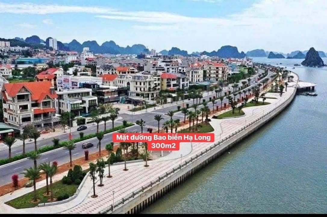 Đất mặt đường bao biển Hạ Long 300m² giá 90 tỷ - Vị trí siêu VIP!