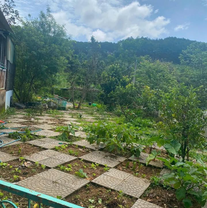 Kho cho thuê tại Đường Thánh Mẫu, Đà Lạt 200m² giá 9 triệu - Phù hợp cho mọi nhu cầu kinh doanh!