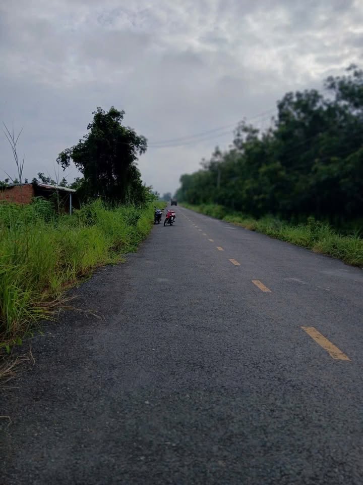 Đất nền mặt tiền nhựa ấp Bến Cừ, Ninh Điền, Châu Thành, Tây Ninh 43,000m² giá 1.15 tỷ - Cơ hội đầu tư hấp dẫn!