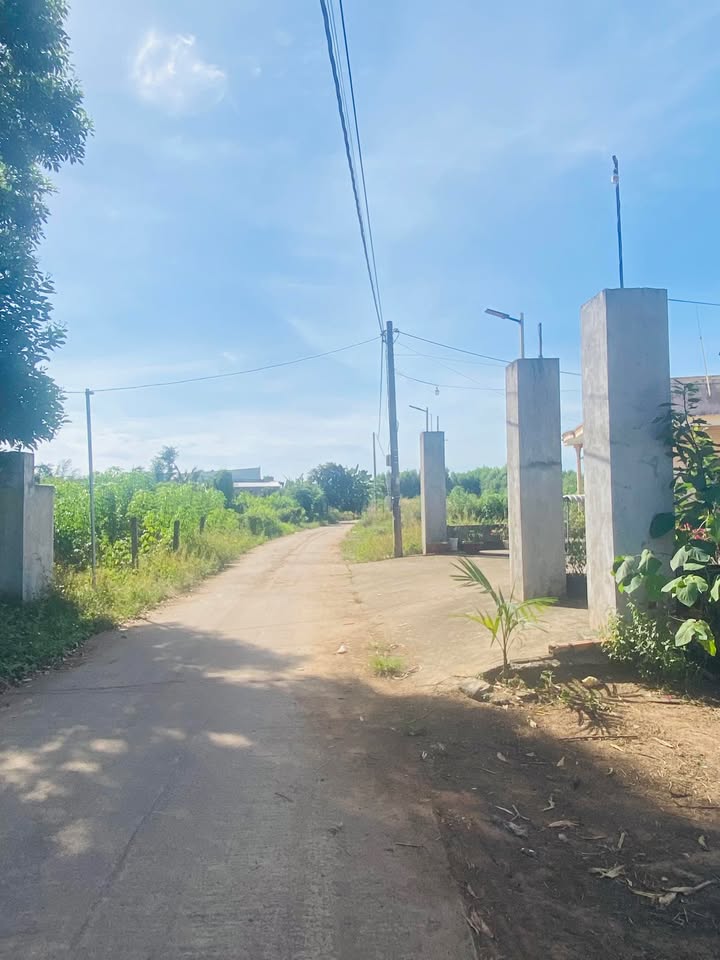 Đất nền 1465m² tại xã Hòa Hiệp, Xuyên Mộc chỉ 1.35 tỷ - Cơ hội đầu tư tuyệt vời!