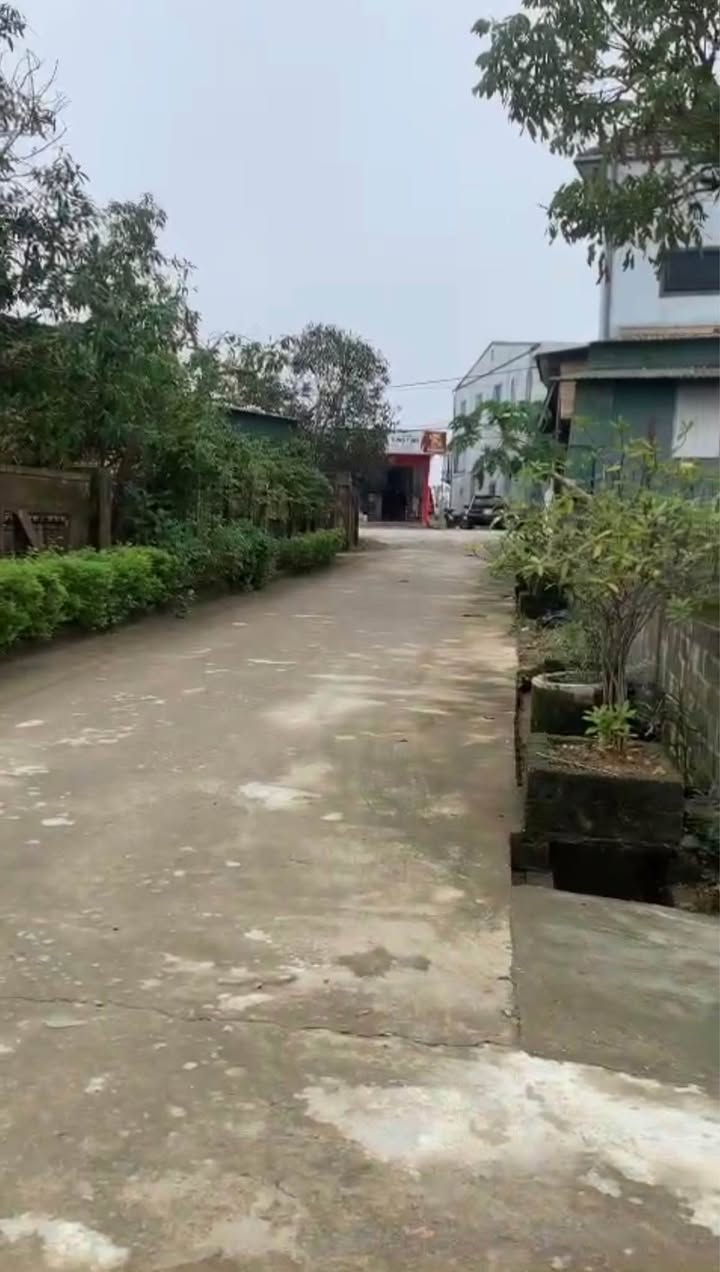 Đất nền Thạch Tân - 135m² - Vị trí đẹp, giao thông thuận tiện