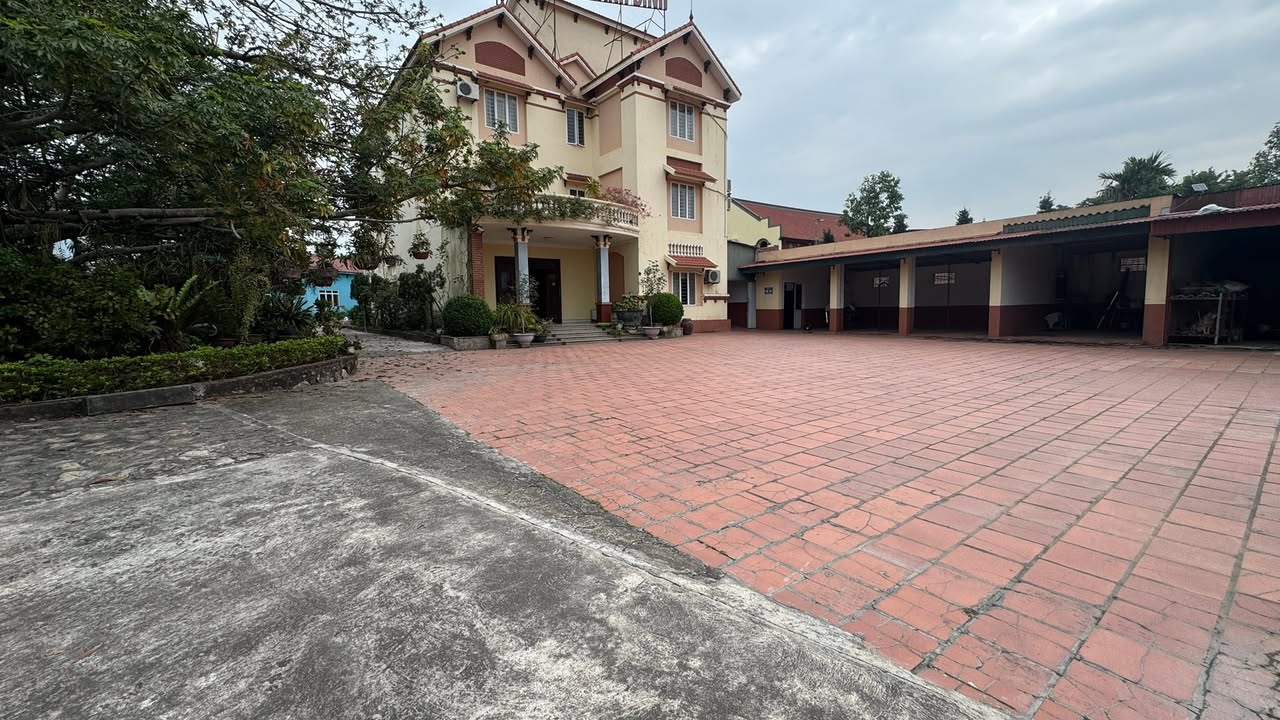 Khu đất Warehouse tại Chu Văn An, Chí Linh, Hải Dương 19.250m² - Cơ hội đầu tư hiếm có!