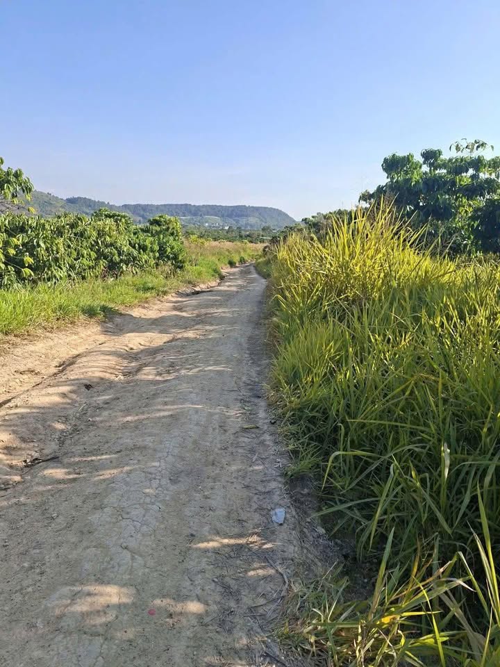 Đất thổ cư N'Thol Hạ, Đức Trọng 900m² giá 2.1 tỷ - Mặt tiền đường chính, sổ có thể làm!