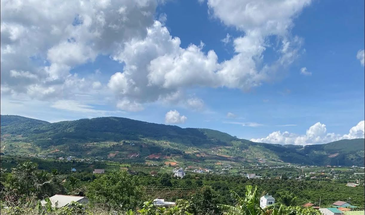 Đất nền Lâm Đồng 3200m² giá 2 tỷ - Sổ đỏ chính chủ, vị trí đẹp!