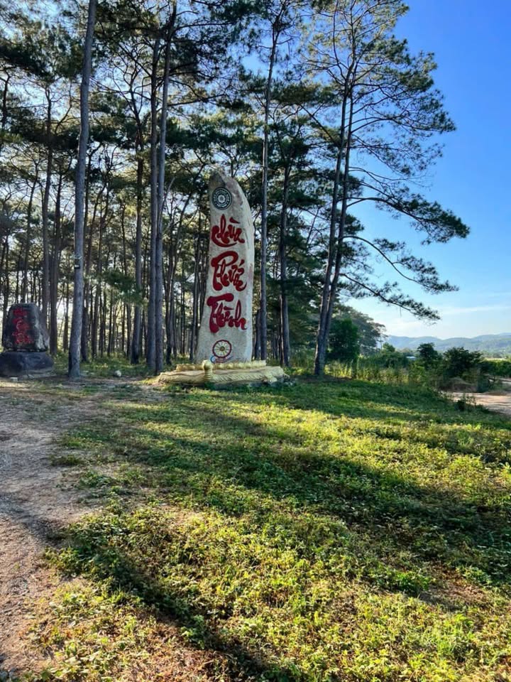 Đất Farm 96.282m² Thị Trấn Đắk Tô, Kon Tum - Cơ hội đầu tư lý tưởng!